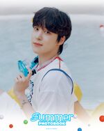 2023 Summer Photobook