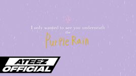 Purple Rain Cover