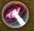 CheckButton.jpg