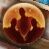 LegionStorageButton.jpg