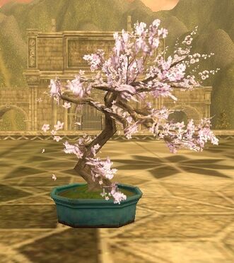 Potted.jpg