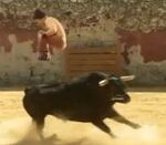 Jason jumping bull