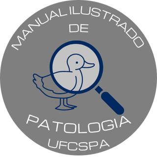 Atlas de Patologia em Necropsia Wiki