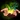 Skill Naturalism