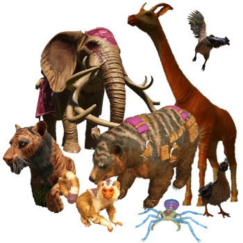 Animal