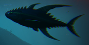 Tuna Screen 2