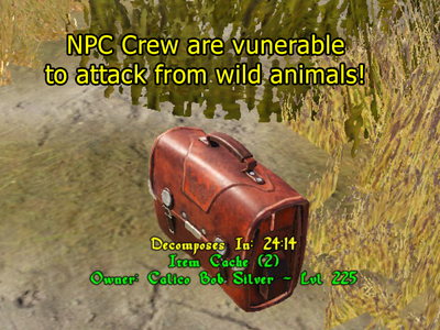 Npc vulnerability.png