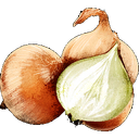 Onion