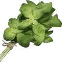 Basil