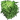 Wild Pepper