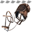 Generic Saddle