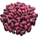 Beans.png