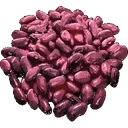 Beans