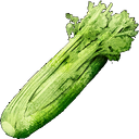 Celery