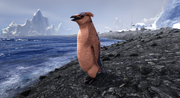 Screenshot 28Pingu