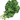 Wild Vegetables.png