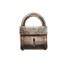 Padlock Common
