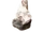 Pandrite
