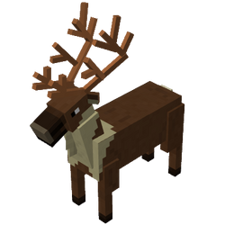 Reindeer