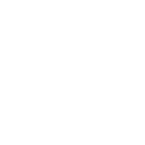 Wiki The Fast & The Furious