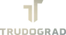TG Logo.png