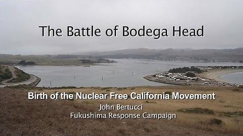 Bodega Bay (USA)