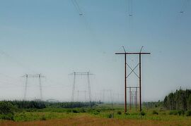 Power Lines at Point Lepreau