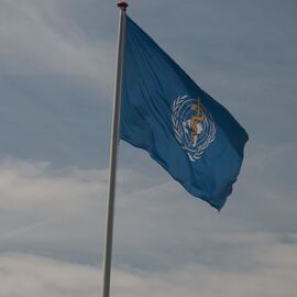 WHO flag - panoramio
