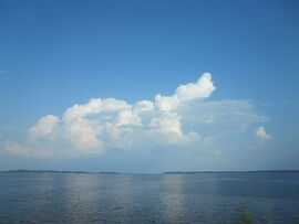 View of Toledo Bend between LA and TX IMG 1806