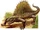 Dimetrodon