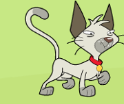 Purrsy
