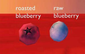 Blueberries raw and roasted.jpg