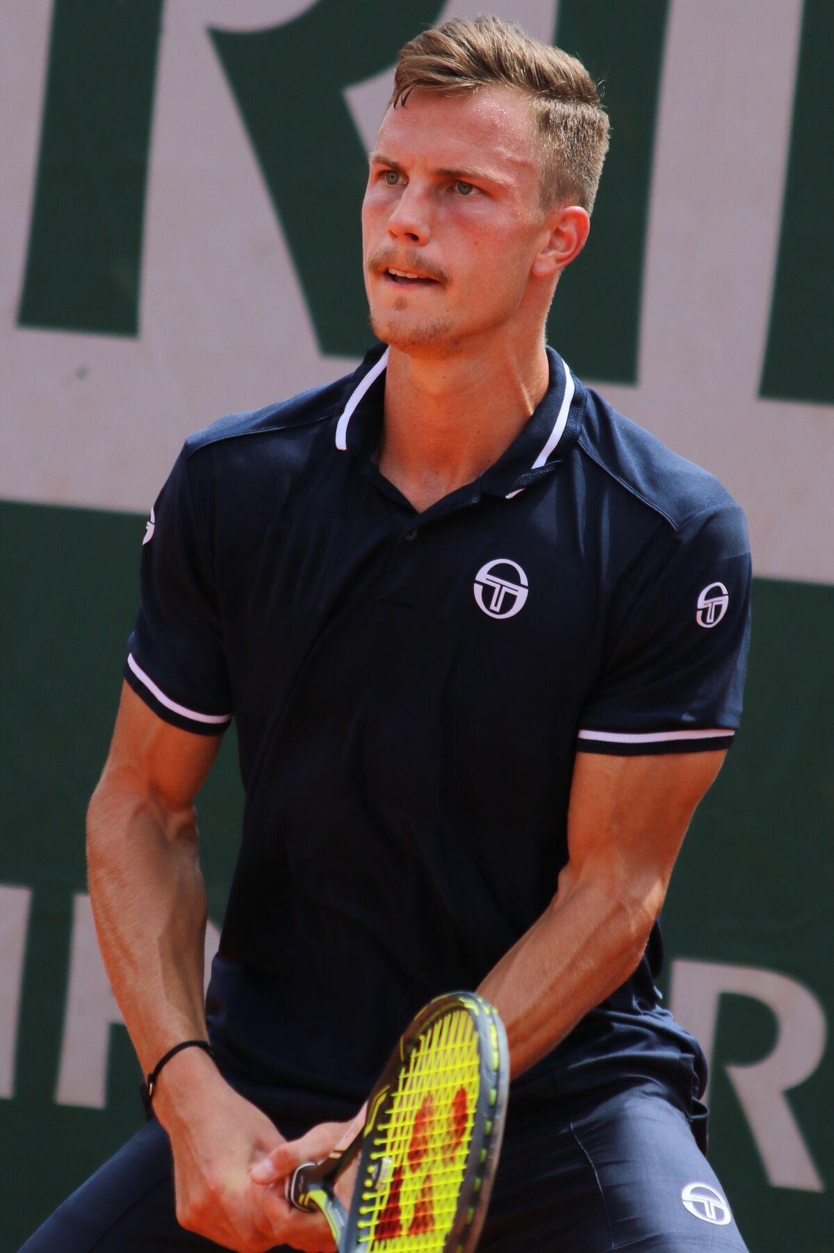 Márton Fucsovics ATP World Tour Wiki Fandom