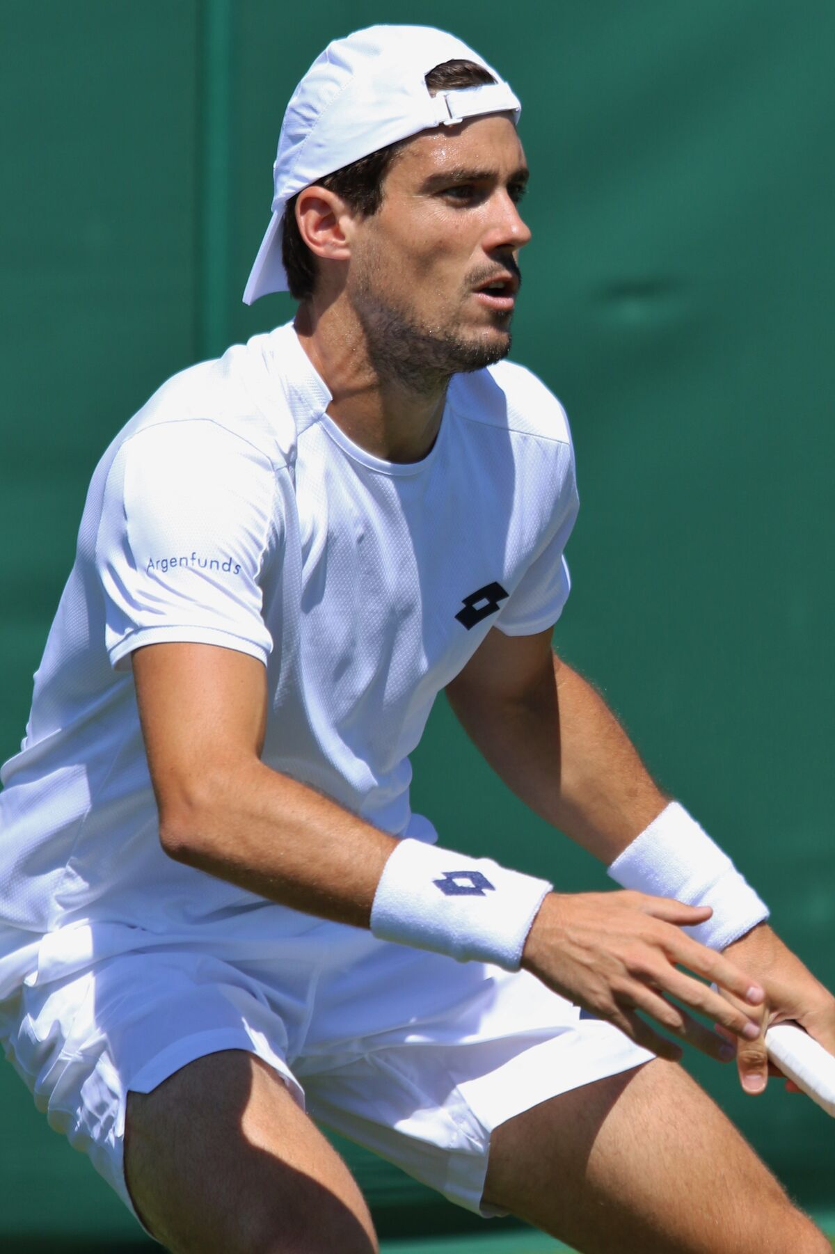 Guido Pella ATP World Tour Wiki Fandom