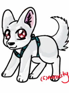Huskeyhoundaremadesilver1.png (78 KB) Silver Husky Hounda