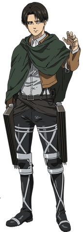 Levi Design