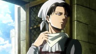 Levi the cleaner