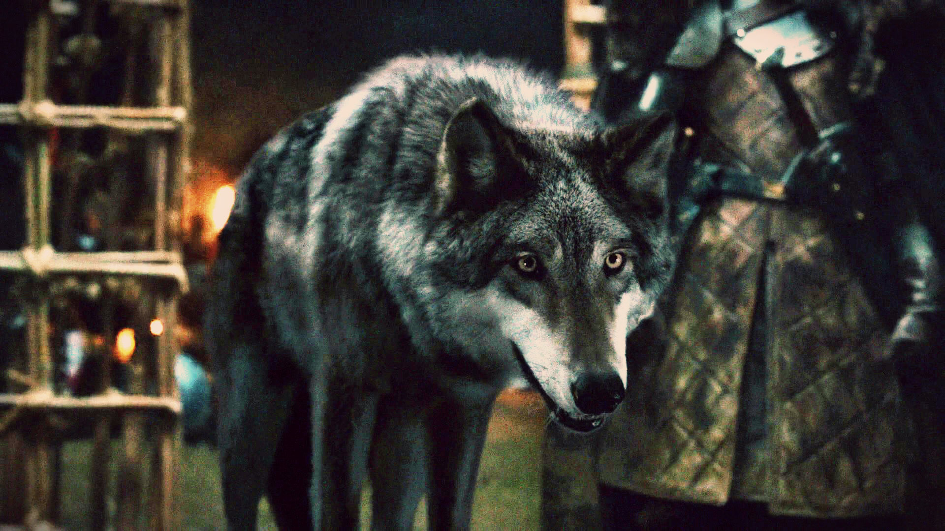 Leo is a gray direwolf and a new member of the Scout Regiment, wherein he i...