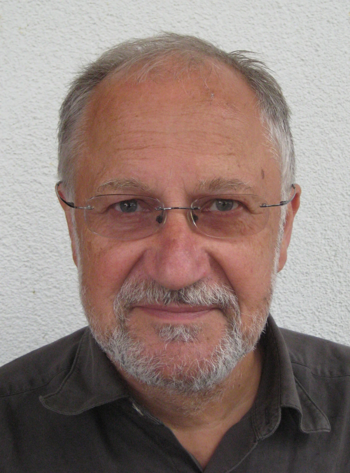 RAY BROWN Audio Drama Wiki Fandom