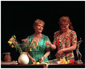 Amy's View: david-hare: 9780739404874: Amazon.com: Books