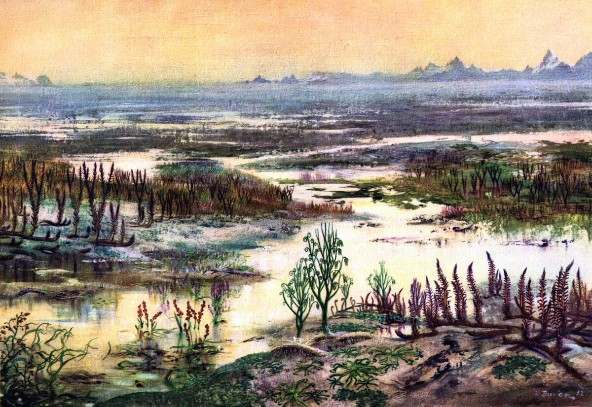 Shalk | Auldensphere Wiki | Fandom