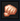 Physical.png