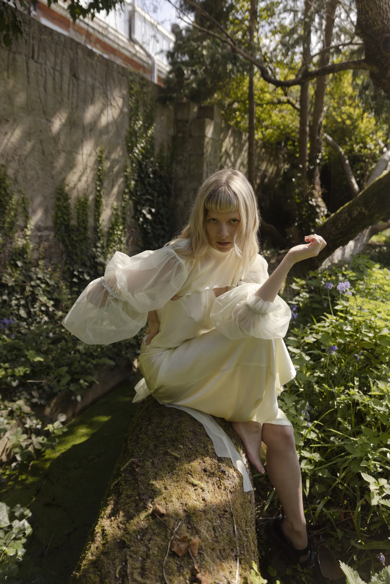 AURORA | Aurora Aksnes Wiki | Fandom