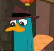 Sadperry101