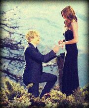 Auslly24