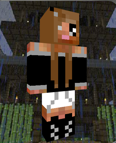 minecraft girl skin brown hair