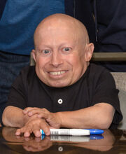 Verne Troyer