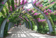 Southbank Arbour