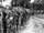 1955 SANFL Grand Final