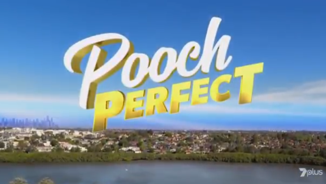 Pooch Perfect | Australian Game Shows Wiki | Fandom